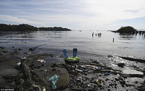 BTC giải đua thuyền và lướt ván tại Olympic đã cố tình che giấu tình trạng ô nhiễm tại vùng biển Guanabara Bay