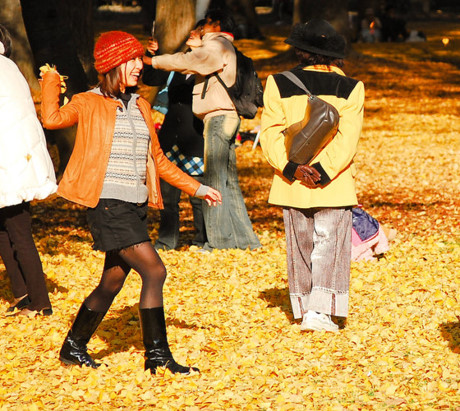Công viên Yoyogi ở Tokyo phủ đầy lá vàng rụng dưới chân.