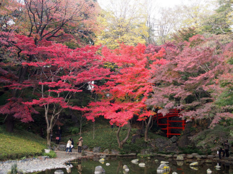 Koishikawa Korakuen là một trong những khu vườn cảnh quan lâu đời nhất của thành phố nằm bên cạnh sân vận động Tokyo Dome. Khu vườn có 3.000 cây. Khách tham quan không thể bỏ qua khu vườn vào mùa thu.