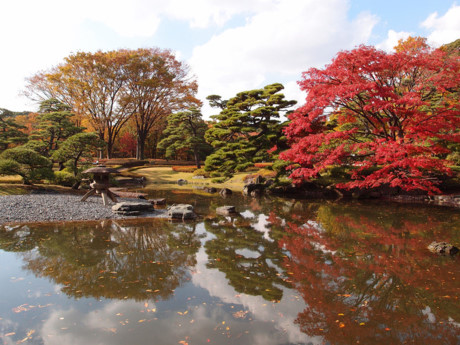 Công viên vườn phía Đông của Hoàng cung Tokyo có hơn 30 loại cây. Vào mùa thu, cây thay lá tạo nên một cảnh tượng đẹp như tranh vẽ.