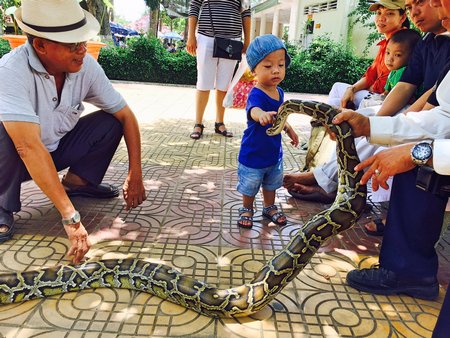 Trại rắn Đồng Tâm là một địa chỉ tham quan khá độc đáo, thu hút nhiều khách tham quan trong và ngoài nước.
