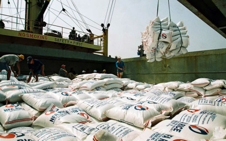 11. Gạo xuất khẩu được kỳ vọng tăng 5% so với 2016 và đạt 2,3 tỷ USD.(ảnh minh họa: KT)