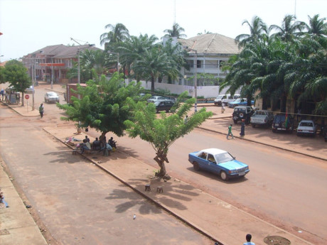 Guinea-Bissau là một trong những nước nhỏ nhất ở Châu Phi. GDP bình quân đầu người của nước này là 1.568 USD