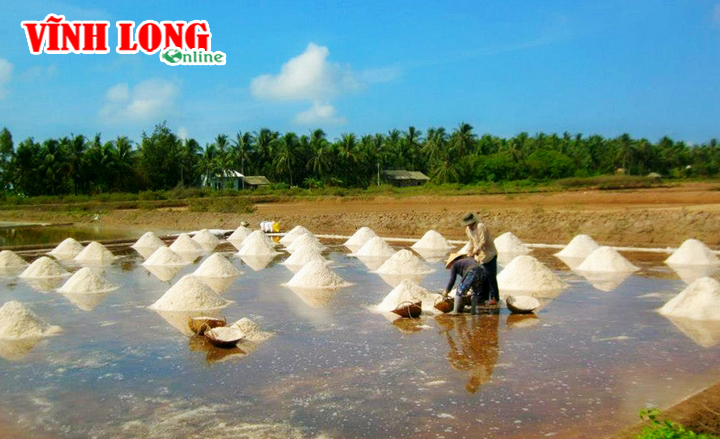 Làng muối Cồn Cù  ở xã Dân Thành, huyện Duyên Hải với lịch sử hơn 60 năm hình thành và phát triển.