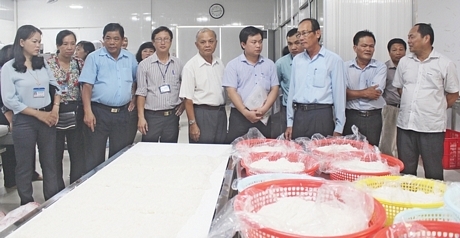 Đoàn khảo sát thực tế tại cơ sở sản xuất bún- bánh phở Ba Khánh.