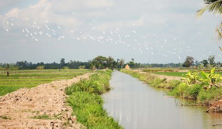 Một tuyến kinh dự trữ nước phục vụ sản xuất tại huyện Vũng Liêm.