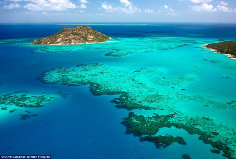 Đảo Lizard nằm ở phía bắc của rạn san hô lớn nhất thế giới Great Barrier, có diện tích 1.024 ha với khoảng 24 bãi biển và nước biển màu lam ngọc cuốn hút du khách không rời.