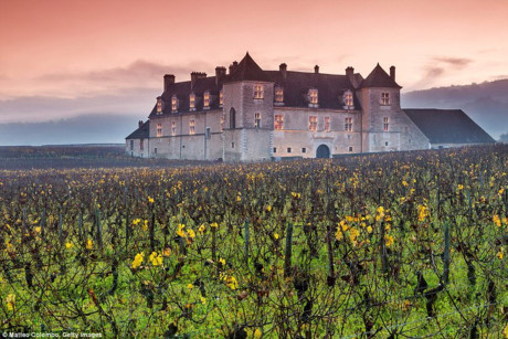 Khi đến Pháp vào mùa Thu, du khách sẽ có cơ hội chiêm ngưỡng mùa thu hoạch nho trên khắp đất nước. Bạn cũng nên ghé thăm thành phố Bordeaux, chiêm ngưỡng các công trình kiến trúc cổ kính, thưởng thức rượu vang và tham quan vườn nho.