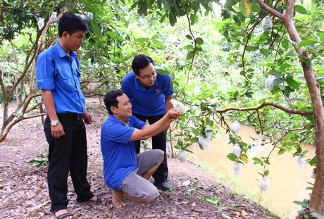 Anh Nguyễn Xuân Phong (người ngồi) với mô hình du lịch sinh thái vườn lúc nào cũng có trái cây “bao bụng”.