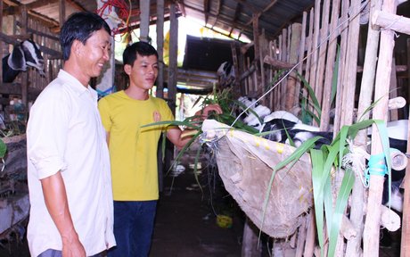 Anh Tân (trái)- Chủ nhiệm CLB Thanh niên làm kinh tế giỏi huyện Long Hồ- đến thăm các mô hình kinh tế hiệu quả của ĐVTN.