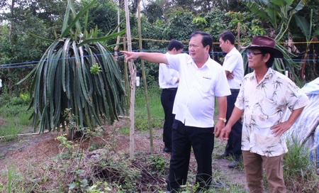 Phó Bí thư Tỉnh ủy, Chủ tịch UBND tỉnh- Nguyễn Văn Quang hỏi thăm tình hình sản xuất các thành viên tại HTX thanh long Song Phú