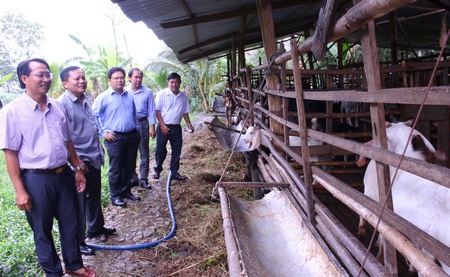 Đoàn khảo sát trang trại nuôi dê của anh Nguyễn Văn Huề (xã Long Phú)