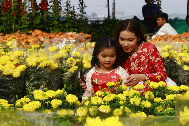 Năm nào bạn Trịnh Gia Ngân (Sinh viên khóa 12, ngành Ngôn ngữ học, Đại học Tây Đô) cũng cùng em du xuân, ngắm hoa.