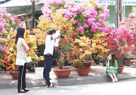 Chợ hoa Xuân thu hút nhiều khách tham quan, chụp ảnh những ngày giáp tết.