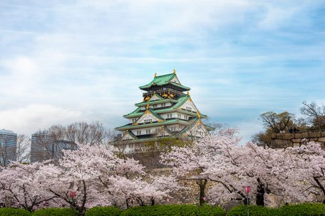  Địa điểm ngắm hoa anh đào nổi tiếng Nhật Bản