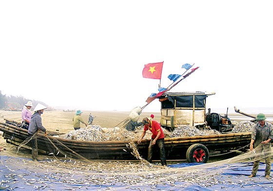 Một bè mảng của ngư dân xóm 10 (xã Quảng Hải, huyện Quảng Xương) trúng đậm hơn 1 tấn cá/chuyến