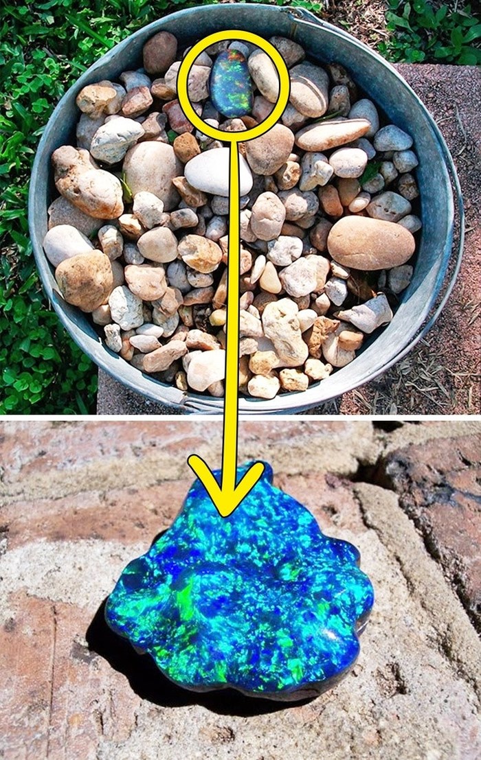 Một thợ mỏ ở Australia đã vô tình tìm thấy kho báu giá trị là hòn đá Opal đen quý hiếm. Người này tìm thấy viên đá Opal lẫn với những viên đá thông thường. Ông quyết định giữ nó như một món quà lưu niệm.