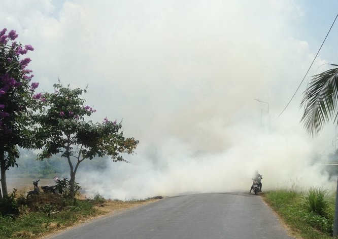 Đợt gió mạnh khiến đám khói đốt đồng mù mịt tràn lên Đường tỉnh 903 khiến nhiều người lái xe máy bất ngờ bị “bao vây”