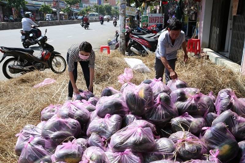 18 tấn dưa hấu giải cứu từ tỉnh Quảng Ngãi vào Sài Gòn tối 11-5 đã được tiêu thụ hết vào sáng nay 12-5.