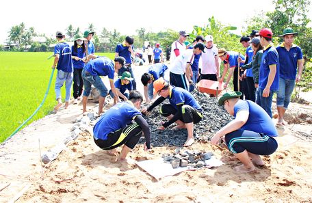 Sinh viên Trường ĐH Sư phạm kỹ thuật Vĩnh Long góp công xây đường liên xã Phú Đức- Tân Lộc.