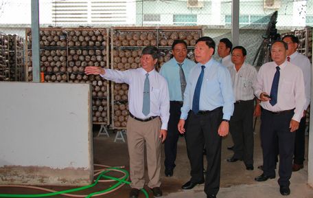 Ủy viên BCH Trung ương Đảng, Bí thư Tỉnh ủy- Trần Văn Rón cùng các địa biểu tham quan khu sản xuất meo nấm tại Trung tâm Ứng dụng tiến bộ KH- CN Vĩnh Long.