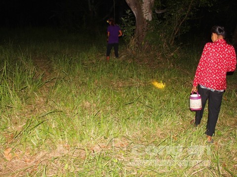 Những người dân ở xã Núi Tô đi săn ve đêm
