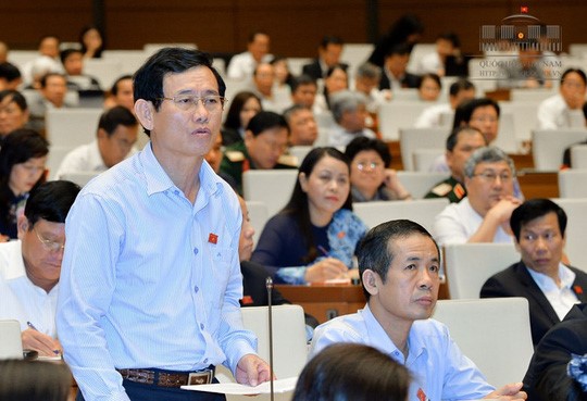 ĐBQH Nguyễn Ngọc Phương cho rằng nên tăng quyền cho phó chủ tịch đặc khu và các ban ngành chuyên môn - Ảnh: Quốc hội