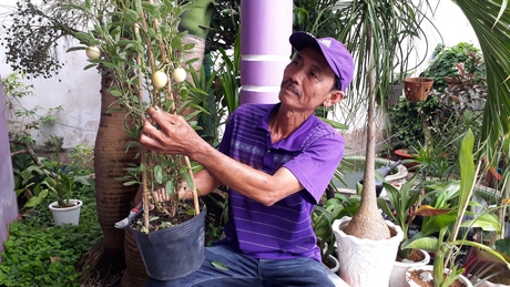 Nông dân Trần Văn Tiếp chăm sóc các giống hoa mới.