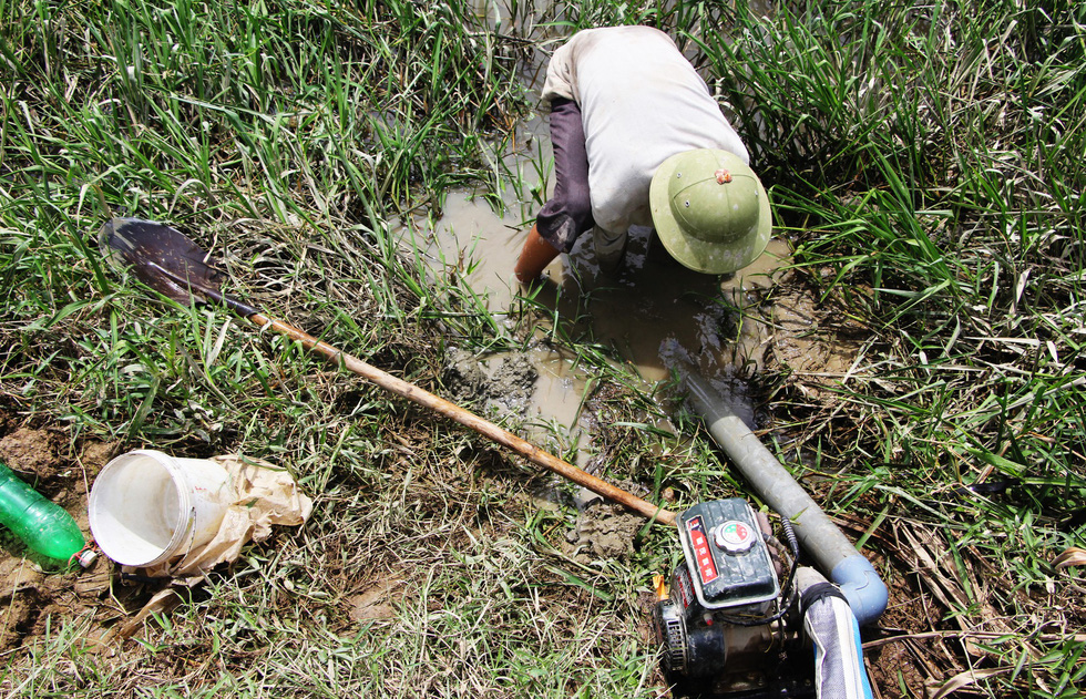 Các mương nước khô cạn buộc người dân phải đào sâu hơn để vét nước cứu lúa - Ảnh: DOÃN HÒA