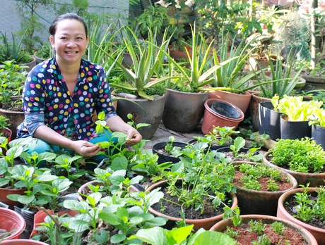 Người dân quan tâm tôn tạo cảnh quan và trồng rau quanh nhà để cùng thực hiện tiêu chí môi trường và an toàn thực phẩm.
