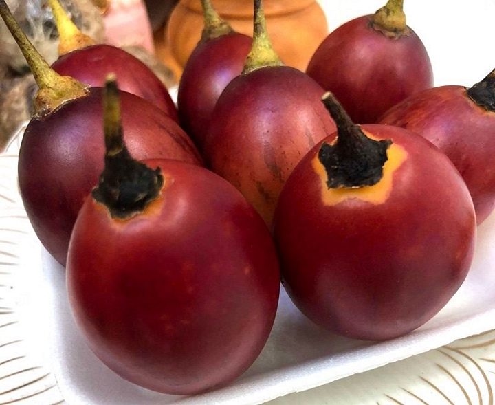 Thời gian gần đây, loại cà chua này xuất hiện khá nhiều trên thị trường và được bán với giá 300.000 đồng/kg chứ không còn đắt đỏ như trước.