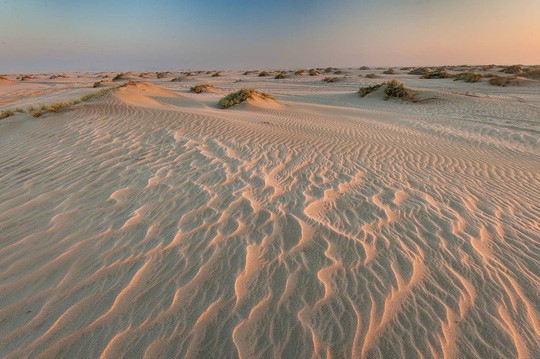 Sa mạc Mesaieed: Bên cạnh sa mạc Safari, bạn cũng có thể ghé thăm sa mạc Mesaieed gần biển Sealine trên xe buýt khổng lồ Monster. Bờ biển Sealine có vẻ đẹp hoàng sơ quyến rũ với những cồn cát dài, mịn và làn nước trong xanh. Các hoạt động giải trí như đua xe, cưỡi lạc đà, trượt cát cũng rất được yêu thích tại đây. Ảnh: Asergeev.