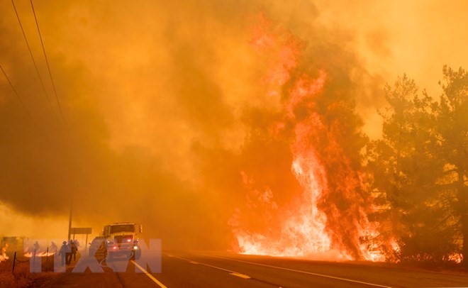 Lực lượng cứu hỏa dập lửa cháy rừng ở dọc đường cao tốc 20, gần Clearlake Oaks, California của Mỹ ngày 1/7 vừa qua. (Ảnh: AFP/TTXVN)