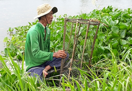 Cá khan hiếm, 300 cái lọp của ông Nguyễn Văn Trưởng 2-3 ngày chỉ kiếm được 2-3kg cá