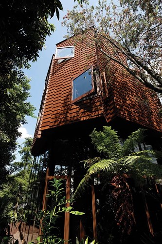 Ngôi nhà hình tháp với phần dưới làm bằng kính và thép còn khung trên bao bọc bằng gỗ có sẵn tại địa phương. 