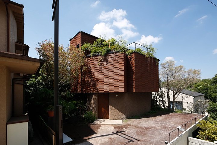 Sân thượng ngôi nhà trồng các loại cây nhiệt đới.