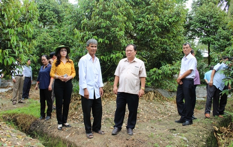 Đoàn cũng đến tham quan mô hình trồng sầu riêng của ông Nguyễn Thanh Long