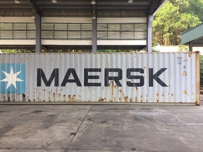 Container hàng hóa chứa hàng cấm được tàu Lindavia vận chuyển về cảng Đà Nẵng ngày 29/9/2018. Lô hàng có xuất xứ Nigeria, tên hàng trên vận đơn là phế liệu. Nhưng kết quả khám xét có nhiều ngà voi, vẩy tê tê. Trong ảnh: Container chứa hàng cấm. (Ảnh: Báo Hải quan)