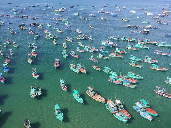 Những chiếc thuyền neo đậu phía dưới biển Phú Quốc trông như tranh vẽ. 
