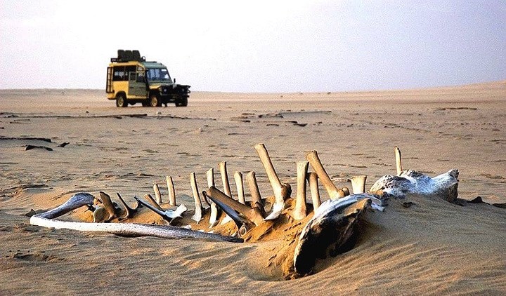 Bờ biển Skeleton, Namibia, ở phía bắc của đất nước, gần Đại Tây Dương. Nó được coi là một trong những địa điểm cô lập trên thế giới. Cư dân sống ở đó là những bộ tộc bản địa.