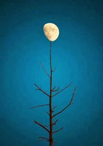 Mặt trăng 