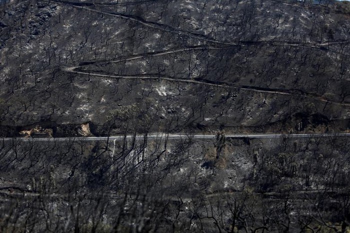 Cảnh rừng cháy rụi ở ngôi làng Monchique, Bồ Đào Nha vào ngày 8/8.