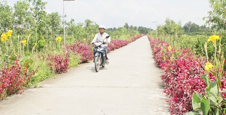 Tuyến đường hoa “xanh- sạch- đẹp- an toàn giao thông” do Hội Cựu chiến binh xã Thuận An đảm nhiệm được duy trì khá tốt.