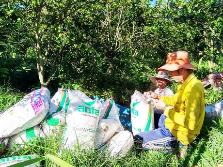 Anh Lương Thanh Bình và anh Nguyễn Văn Đệ (ấp Hiếu Trung, xã Hiếu Nghĩa) đang chuẩn bị bón phân hữu cơ cho vườn cam.