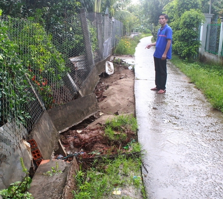 Triều cường cuối tháng 8âl “phá vỡ” chân rào tấn công vườn bưởi ở Mỹ Hòa (TX Bình Minh)