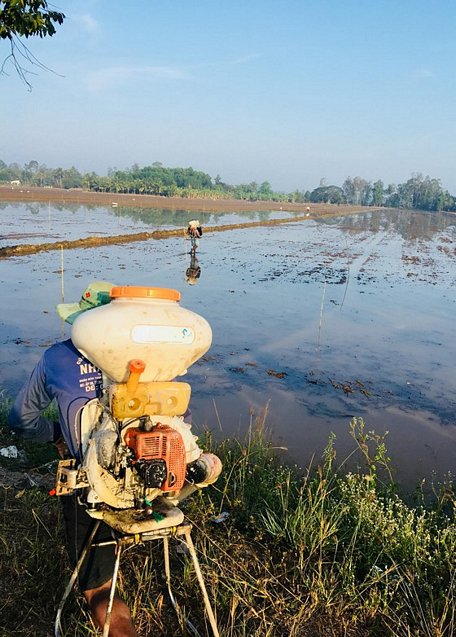 Nông dân huyện Chậu Thành A, tỉnh Hậu Giang dùng máy phun lúa để xuống giống