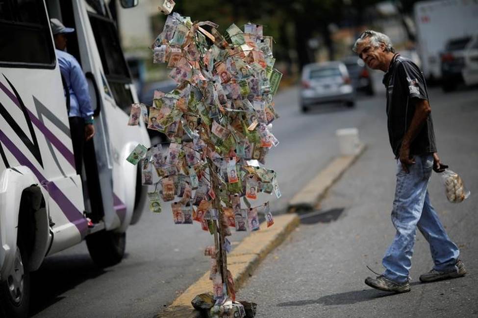 Một cái cây ở cây ở Caracas, Venezuela được trang trí bởi những tờ tiền bolivar của Venezuela. Ảnh: Reuters.