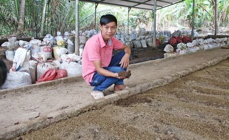 Từ mô hình nuôi bò kết hợp nuôi trùn quế của anh Thảo, đã tạo việc làm và tăng thu nhập cho nông dân.