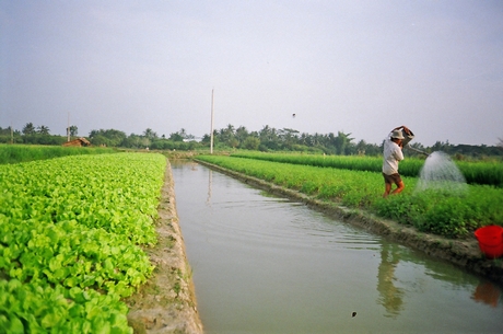 Nguồn nước còn khá dồi dào, thuận lợi cho sản xuất nông nghiệp và sinh hoạt