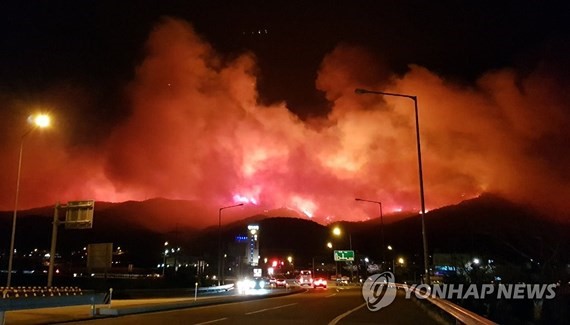 Ngọn lửa bao trùm vùng núi Gangneung ngày 5/4. YONHAP